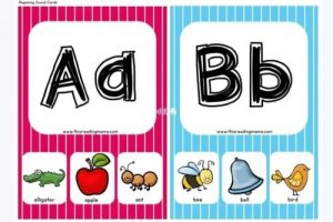 《自然拼读Phonics26个字母和单词》200多动画+26个单词卡片