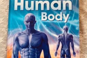 美国英语原版教科书《The Human Body》GK-G6共3册PDF