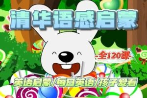 清华幼儿英语语感启蒙(4VCD+教材PDF+音频MP3)