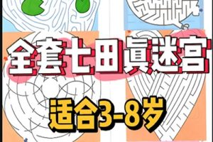 七田真迷宫图《欢乐迷宫》+《迷宫之王》共2册PDF