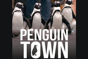 Netflix纪录片《企鹅小镇 Penguin Town》英文版全8集