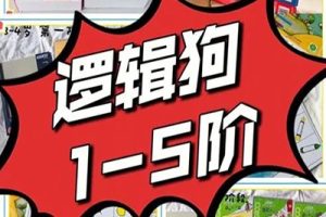 《逻辑狗LOGICO》1-5阶共32册PDF儿童思维训练教材