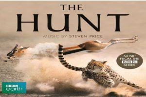 BBC纪录片《猎捕 The Hunt》中英文版全7集