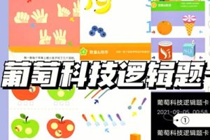 葡萄科技逻辑题卡1-3阶共3册PDF