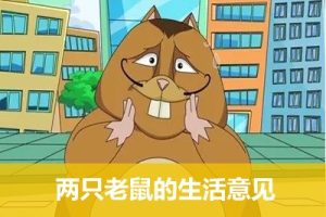 《两只老鼠的生活意见》全52集