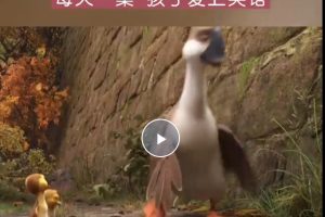 每天一集英语启蒙短视频共490集
