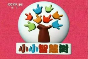 小小智慧树2013全集