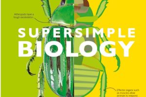 DK理科教育丛书《DK Super Simple 超级简单系列》，涵盖数学、物理、化学和生物四大学科 PDF