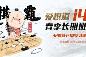 《王盛强老师围棋课：爱棋道春季i4长期班》32课时+4复习课