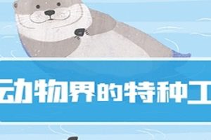 凯叔讲故事《动物界的特种工》20集完整版