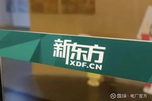2023姜大雨新东方雅思7分旗舰班写作课程 10讲完