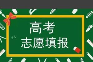 2025年高考志愿填报避坑指南资料汇总下载