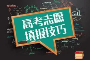 高维森 《5天学会高考志愿填报》视频课+pdf