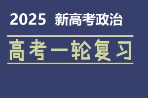2025新高考政治 一轮复习资料合集