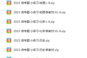 2024届高中全科微专题·小练习卷