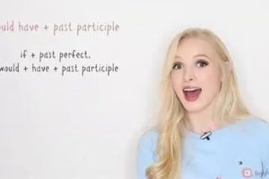 Lucy Max-English Reading L1-6级295集【完结】视频