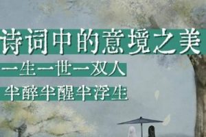 品味诗意人生，最美古诗词（视频）