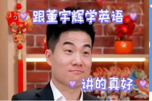 董宇辉高中高考英语寒假班(目标985视频课)