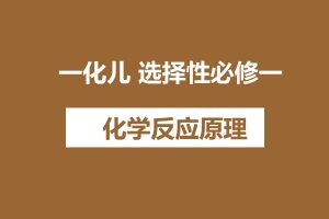 一化儿 选择性必修一 化学反应原理  网课视频