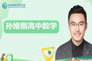 孙维刚高中数学视频全套