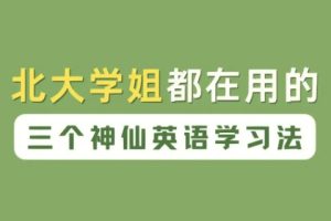 北大英语娘娘语法+核心词汇暴涨计划+英语大招+北大才女1600词汇网课视频