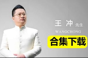 王冲视频课程全套合集下载