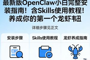 最新版OpenClaw小白完整安装指南！含Skills使用教程！养成你的第一个龙虾🦞