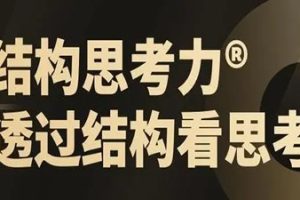 结构思考力透过结构看思考