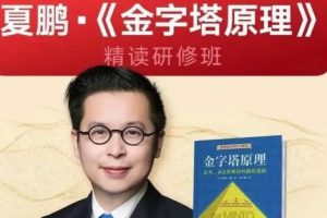 【夏鹏】《金字塔原理》精读研修班（视频）