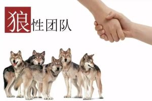 【跟谁学】打造狼性团队，赢得闪电发展