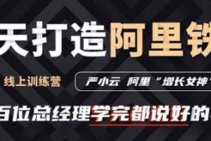严小云销售特训营《十天快速打造阿里铁军》百位总经理学完都说好