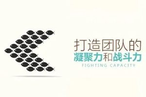 【团队领导】如何打造团队凝聚力与战斗力