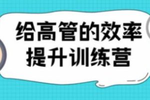 高管的《效率提升训练营》培训课程教程视频