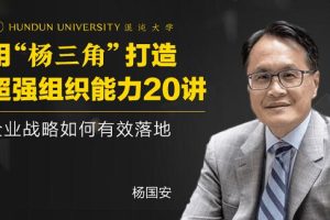 杨国安《打造超强组织能力20讲》企业战略如何有效落地