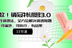 《销冠特训营3.0之顺人性销售法》全方位解决销售难题、可落地执行有结果