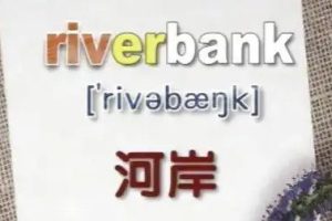 优酷出品-英语词汇立体记忆全集(1-50)网盘下载