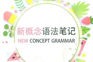 手绘版新概念语法笔记PDF下载