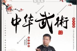 中华武术系列名师视频教程合集下载