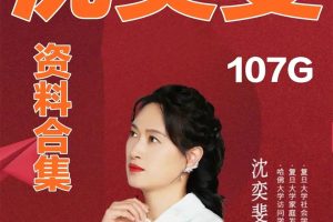《沈奕斐资料合集》107G下载