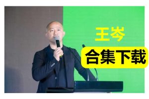 王岑视频合集下载