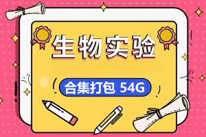 初中生物实验视频合集5.89G