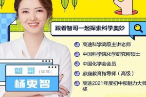 2024杨雯智初三中考化学(A+秋季班下)网课视频