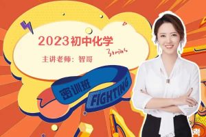 2023杨雯智初中初三化学(尖端春季班)网课视频