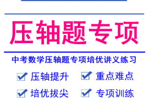 中考数学压轴题专题电子版