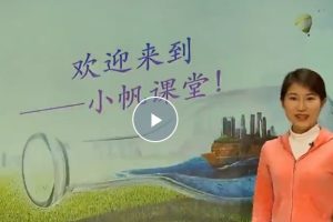 小帆课堂初中语文专项视频合集