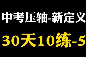 2025中考压轴题30天10练新定义大合集
