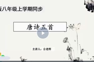 初中初二语文人教版（部编人教版）网课视频