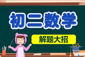 初中初二数学八年级大招网课视频