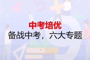 杨哥ai数学中考培优六大专题课程网课视频