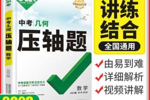 2023初中数学七八九年纪同步压轴题攻略刷题集（人教版）